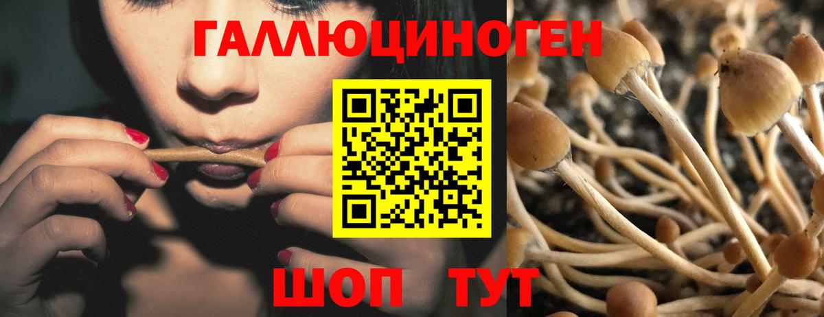 Галлюциногенные грибы прущие грибы Лысьва